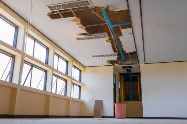Best Water damage restoration services  in Prescott, AR