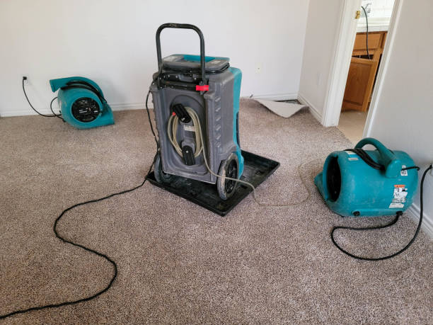Best Water damage cleanup near me  in Prescott, AR
