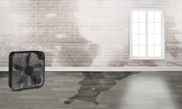 Sewage cleanup and water damage restoration in Prescott, AR