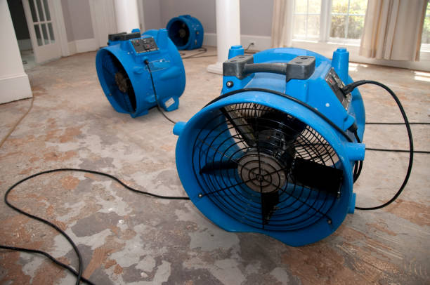 Best Carpet water damage restoration  in Prescott, AR