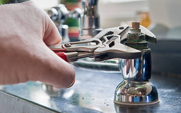 Best Flooded house restoration  in Prescott, AR