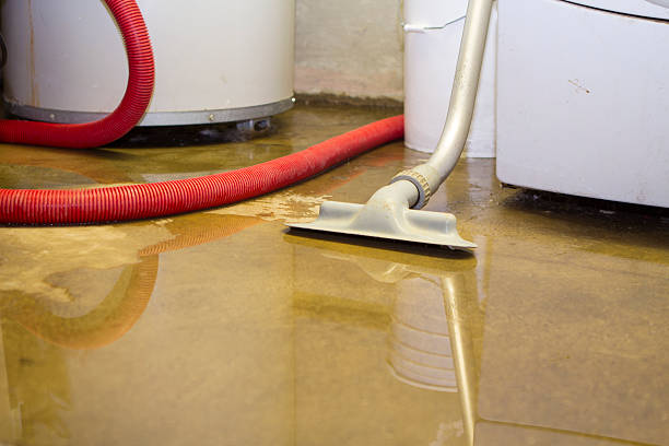 Best Water damage restoration cost  in Prescott, AR